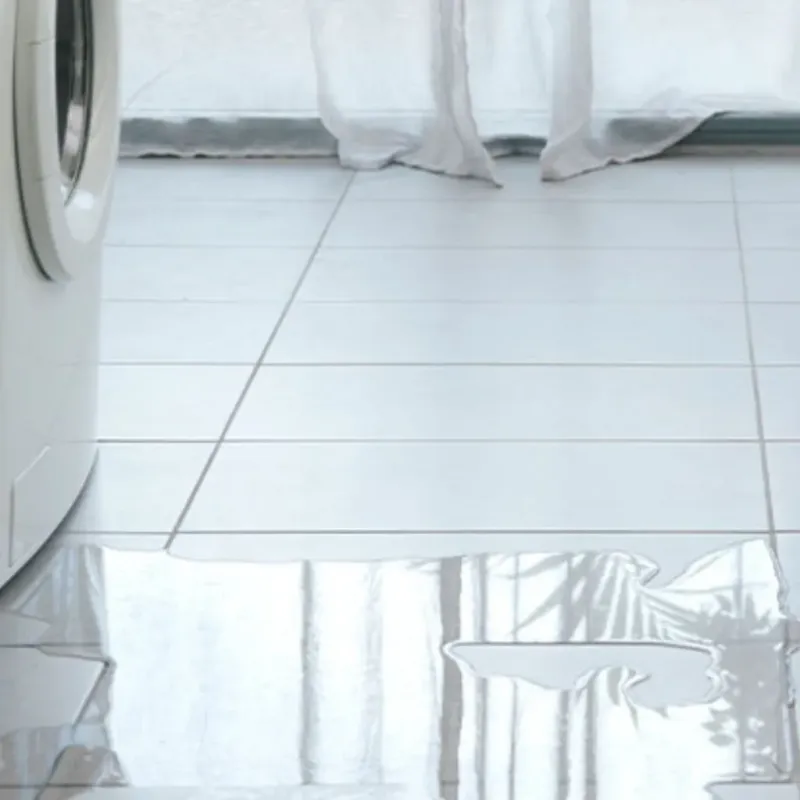 Appliance Leak Cleanup in Clermont, FL