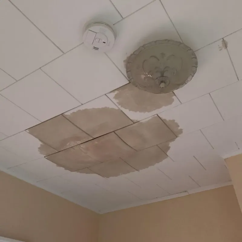 Ceiling Water Damage Repair in Clermont, FL